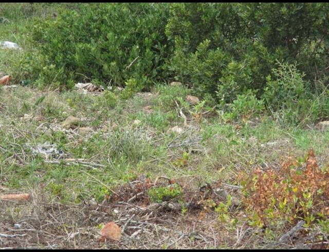 LAND FOR SALE IN MOSSEL BAY EXT 26
